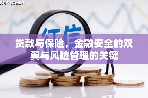 火炬贷款与保险，金融安全的双翼与风险管理的关键