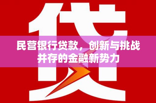 火炬民营银行贷款，创新与挑战并存的金融新势力