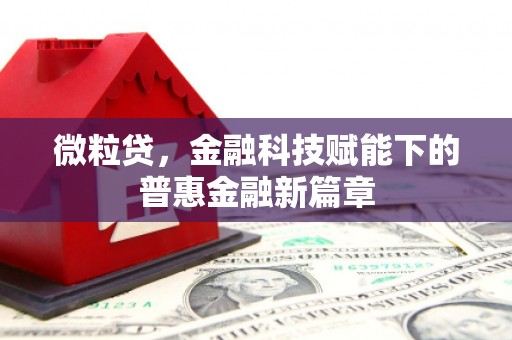 火炬微粒贷，金融科技赋能下的普惠金融新篇章