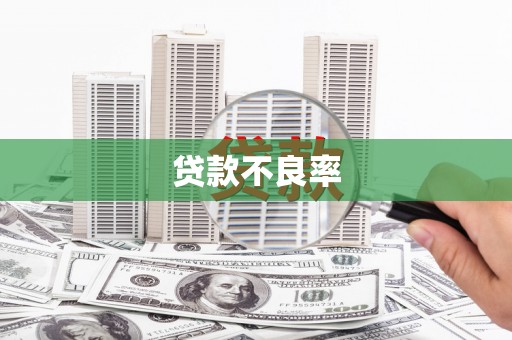 火炬贷款不良率