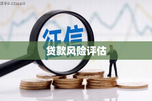 火炬贷款风险评估