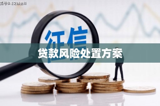 火炬贷款风险处置方案