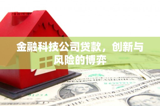 火炬金融科技公司贷款，创新与风险的博弈