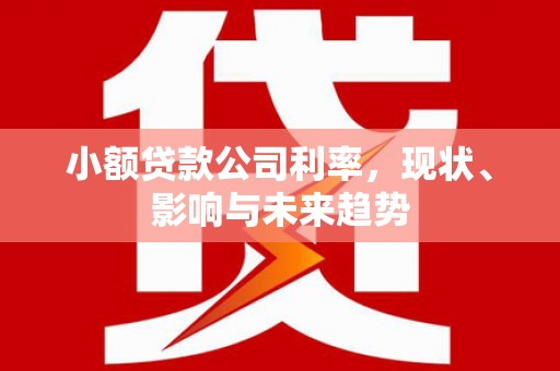 火炬小额贷款公司利率，现状、影响与未来趋势