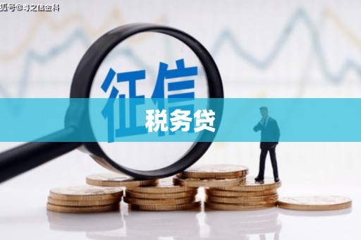 火炬税务贷