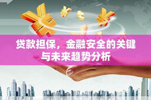火炬贷款担保，金融安全的关键与未来趋势分析