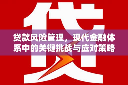 火炬贷款风险管理，现代金融体系中的关键挑战与应对策略