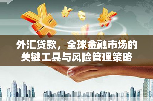火炬外汇贷款，全球金融市场的关键工具与风险管理策略