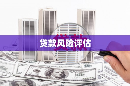 火炬贷款风险评估