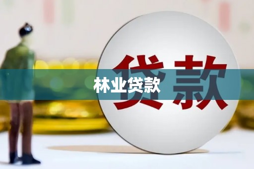火炬林业贷款