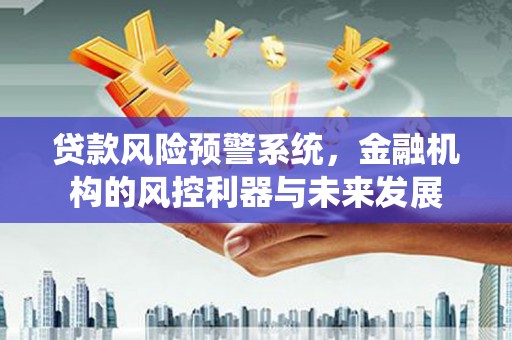 火炬贷款风险预警系统，金融机构的风控利器与未来发展