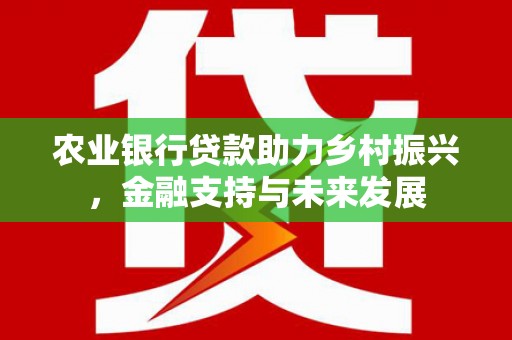 火炬农业银行贷款助力乡村振兴，金融支持与未来发展