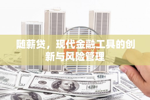 火炬随薪贷，现代金融工具的创新与风险管理