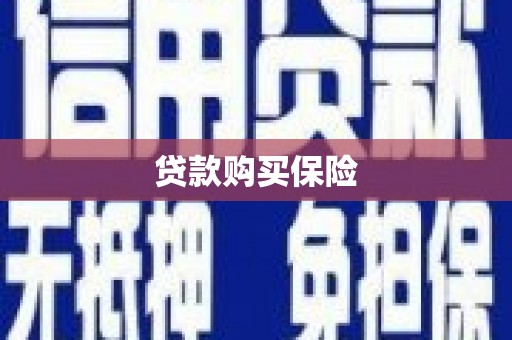 火炬贷款购买保险