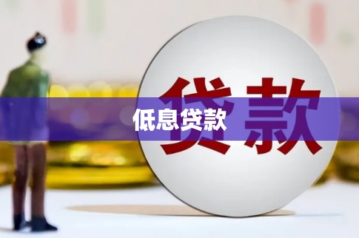 火炬低息贷款