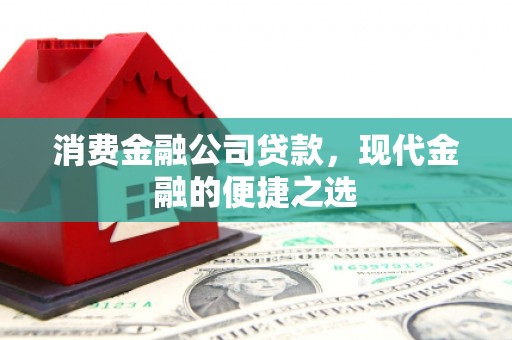 火炬消费金融公司贷款，现代金融的便捷之选