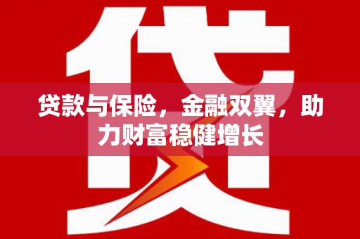火炬贷款与保险，金融双翼，助力财富稳健增长