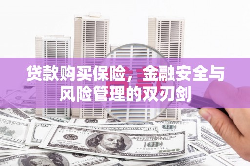 火炬贷款购买保险，金融安全与风险管理的双刃剑