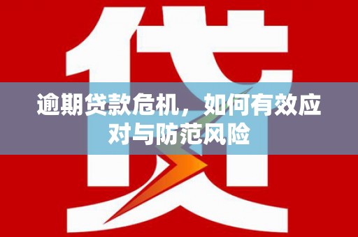 火炬逾期贷款危机，如何有效应对与防范风险