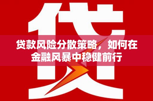 火炬贷款风险分散策略，如何在金融风暴中稳健前行
