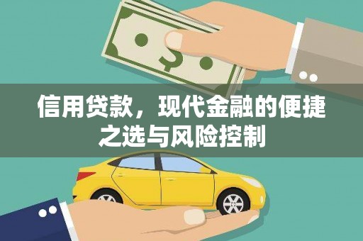 火炬信用贷款，现代金融的便捷之选与风险控制