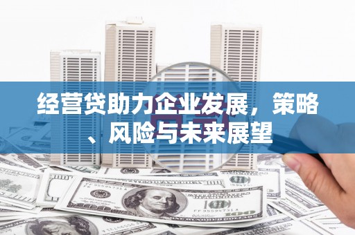 火炬经营贷助力企业发展，策略、风险与未来展望