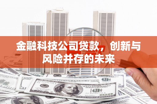 火炬金融科技公司贷款，创新与风险并存的未来