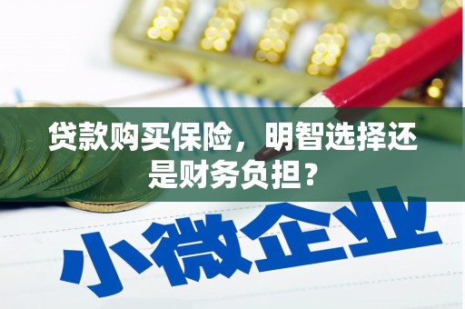 火炬贷款购买保险，明智选择还是财务负担？