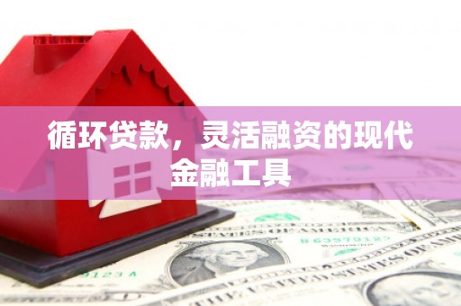 火炬循环贷款，灵活融资的现代金融工具