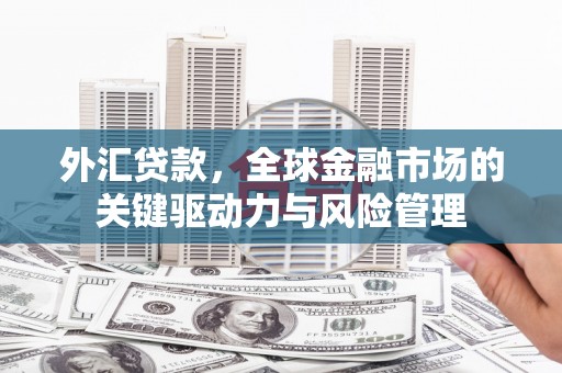火炬外汇贷款，全球金融市场的关键驱动力与风险管理