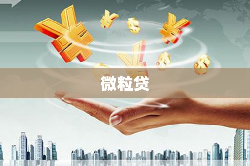 火炬微粒贷