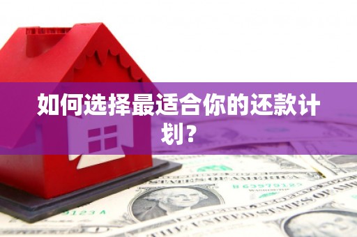 火炬如何选择最适合你的还款计划？