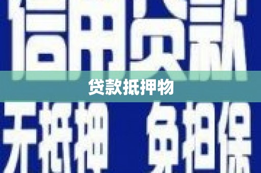 火炬贷款抵押物