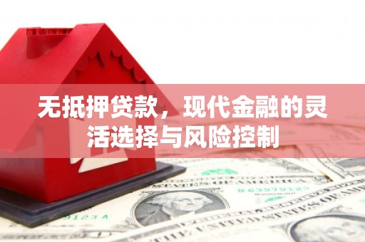 火炬无抵押贷款，现代金融的灵活选择与风险控制
