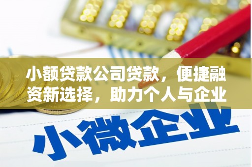 火炬小额贷款公司贷款，便捷融资新选择，助力个人与企业成长