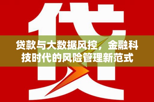 火炬贷款与大数据风控，金融科技时代的风险管理新范式