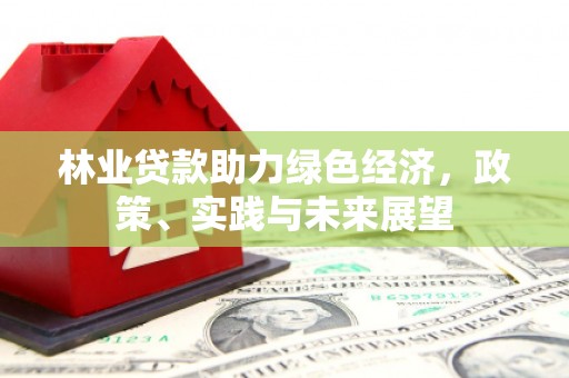 火炬林业贷款助力绿色经济，政策、实践与未来展望