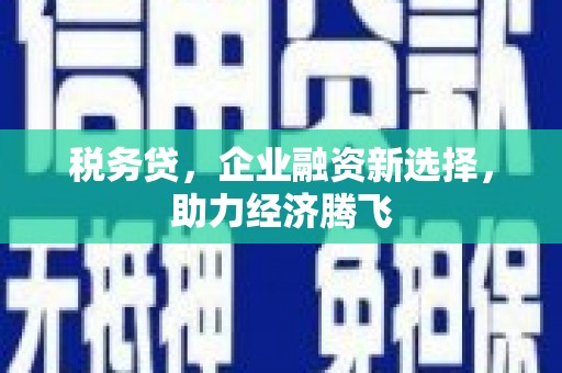 火炬税务贷，企业融资新选择，助力经济腾飞