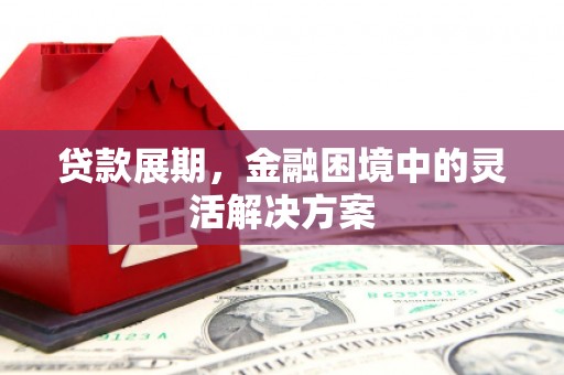 火炬贷款展期，金融困境中的灵活解决方案