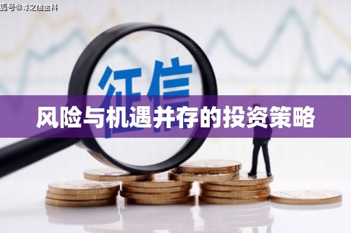 火炬风险与机遇并存的投资策略