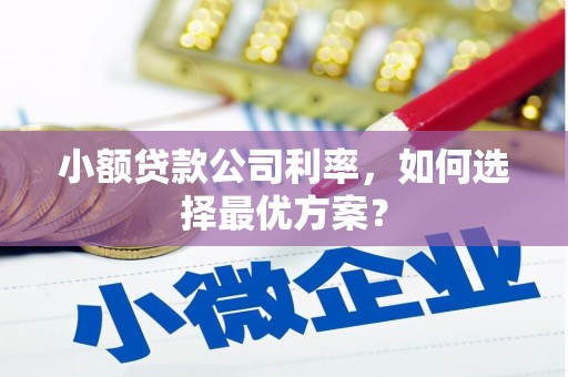 火炬小额贷款公司利率，如何选择最优方案？