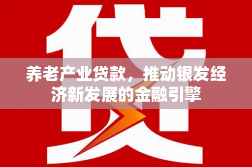 火炬养老产业贷款，推动银发经济新发展的金融引擎