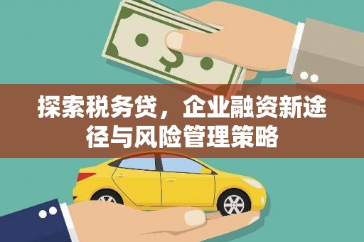 火炬探索税务贷，企业融资新途径与风险管理策略