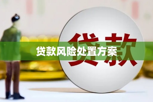 火炬贷款风险处置方案