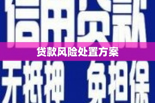 火炬贷款风险处置方案