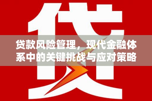 火炬贷款风险管理，现代金融体系中的关键挑战与应对策略