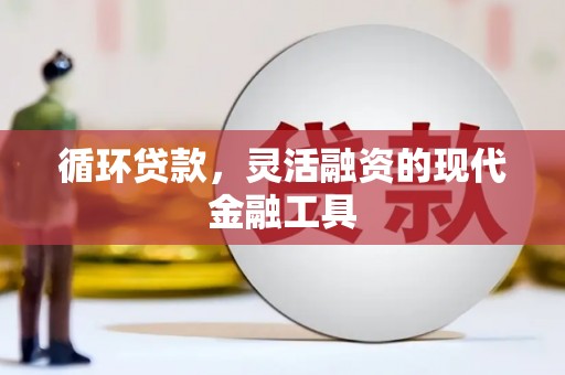 火炬循环贷款，灵活融资的现代金融工具