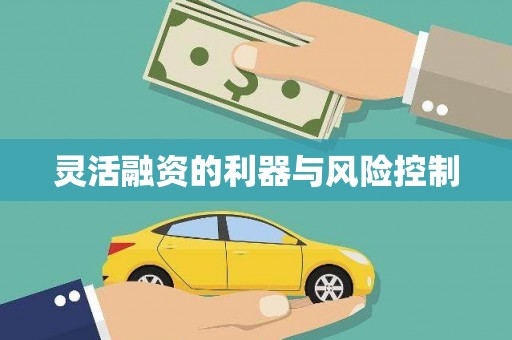 火炬灵活融资的利器与风险控制