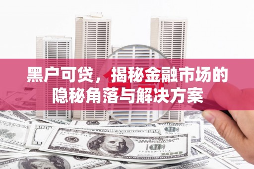 火炬黑户可贷，揭秘金融市场的隐秘角落与解决方案