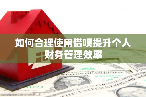 火炬如何合理使用借呗提升个人财务管理效率